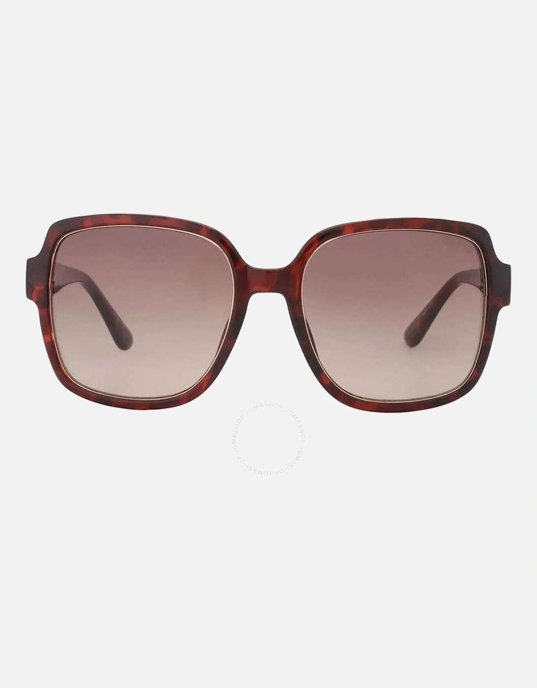 Resin Cat-Eye Sunglasses Women - Brown