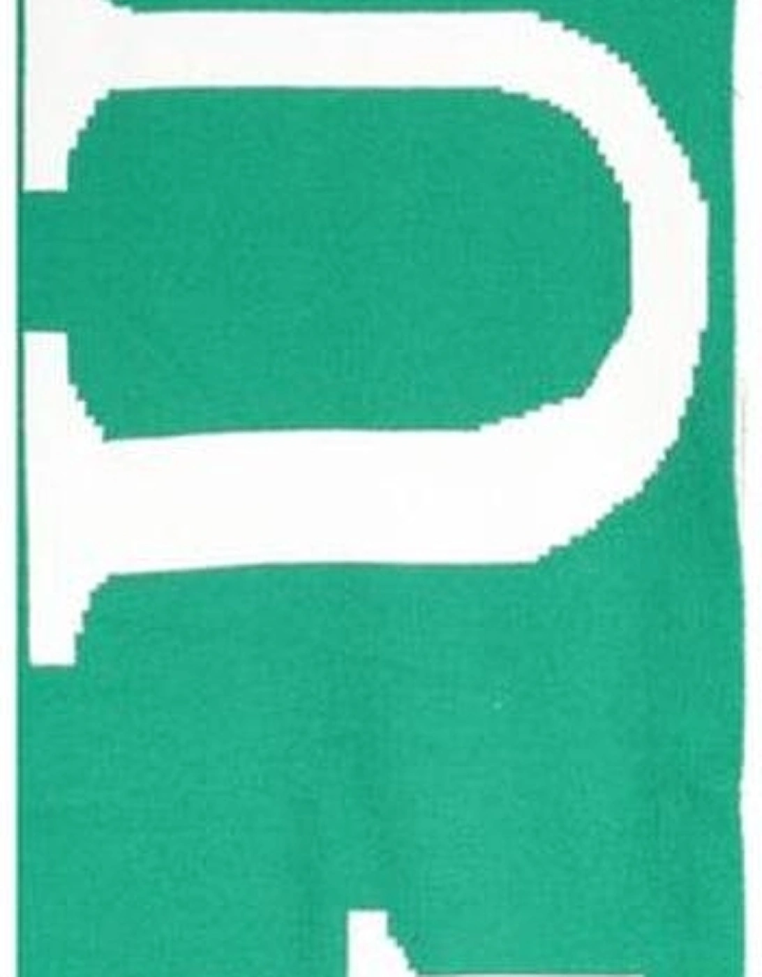 Contrast Detail Logo Scarf Women - Green Scarves