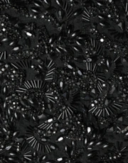 Thumbnail 6 of 6