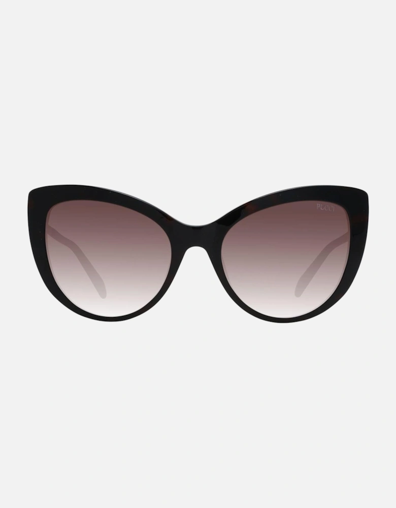 Butterfly Full-Rim Gradient Sunglasses Women - Brown