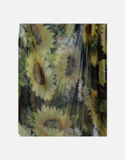 Thumbnail 5 of 6