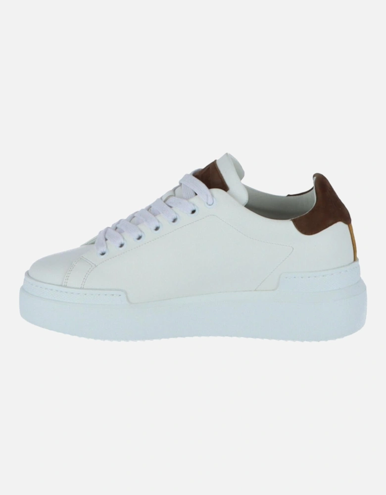 neaker Low Top Caual hoe Women - White Sneakers