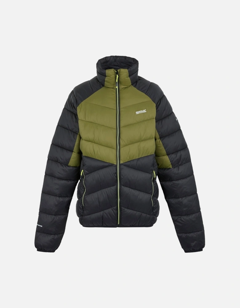 Mens Dalent Padded Jacket