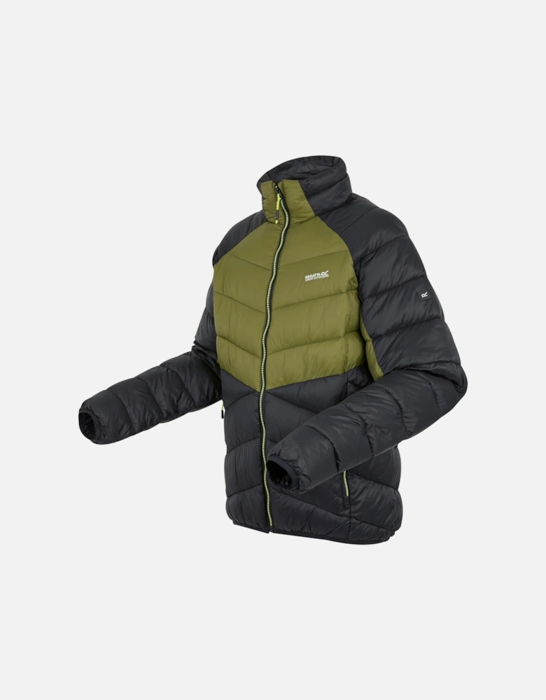 Mens Dalent Padded Jacket