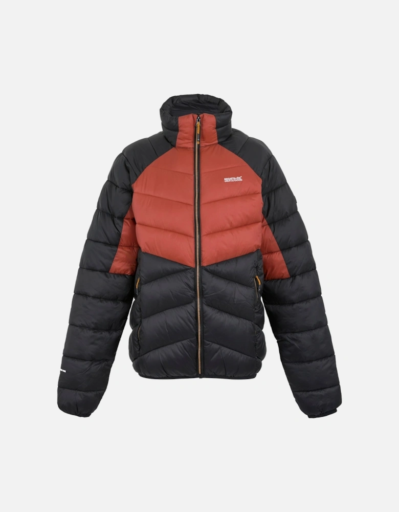 Mens Dalent Padded Jacket