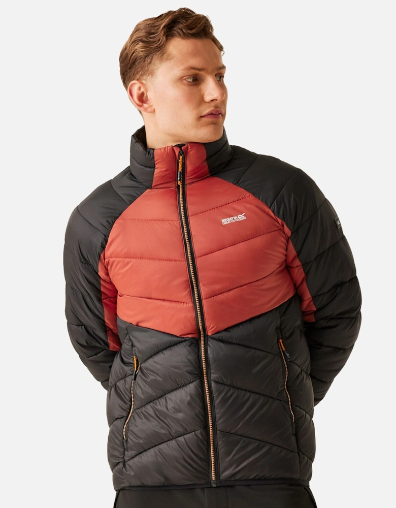 Mens Dalent Padded Jacket