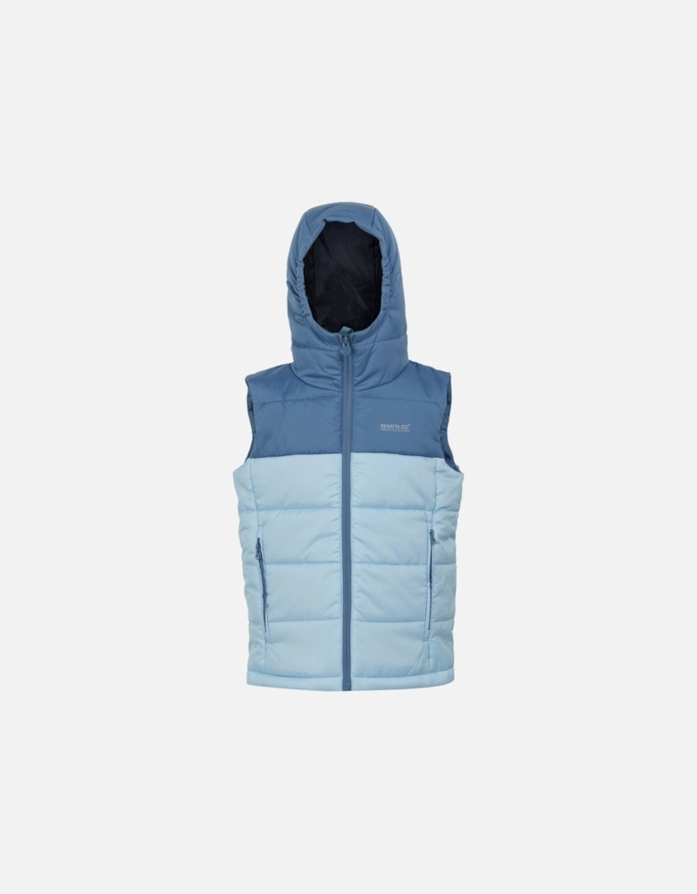 Childrens/Kids Lofthouse II Gilet