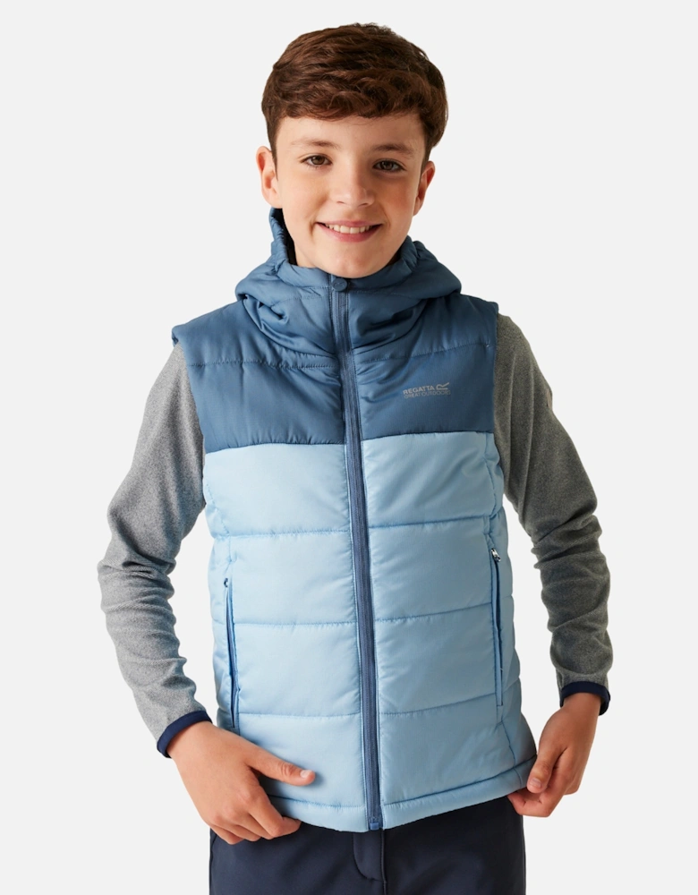 Childrens/Kids Lofthouse II Gilet