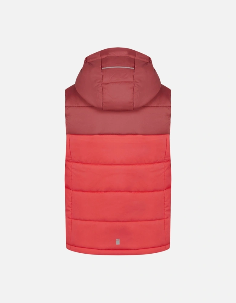 Childrens/Kids Lofthouse II Gilet