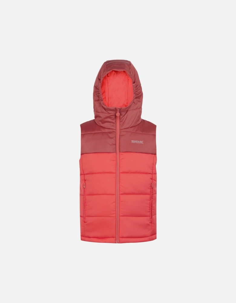 Childrens/Kids Lofthouse II Gilet