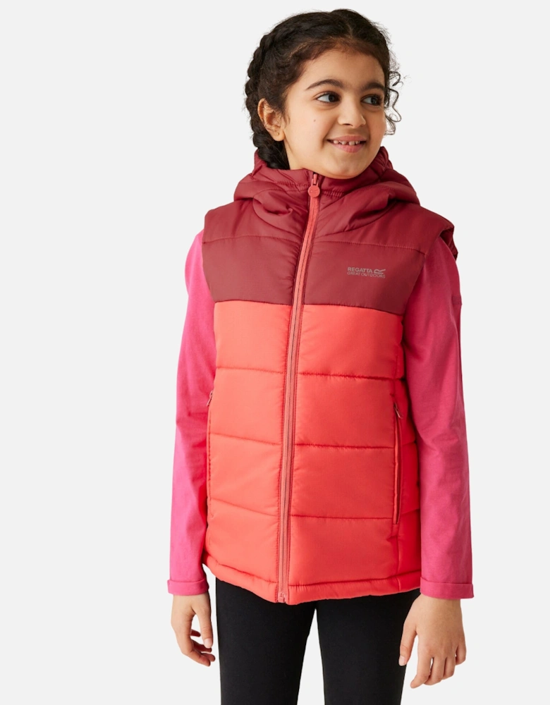 Childrens/Kids Lofthouse II Gilet