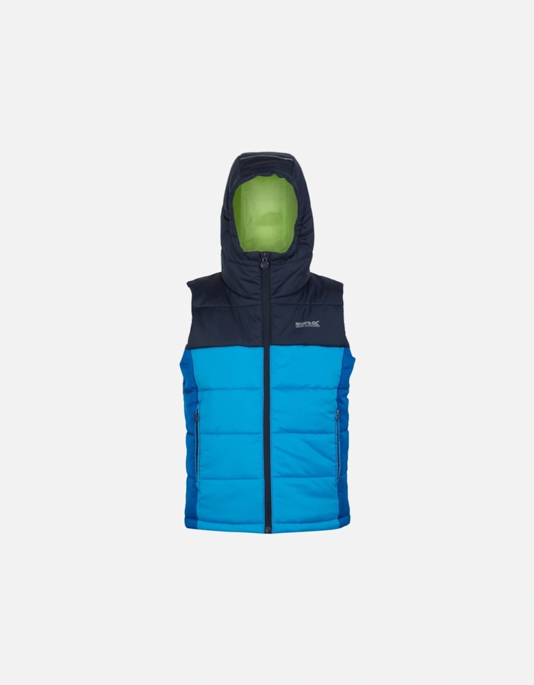 Childrens/Kids Lofthouse II Gilet