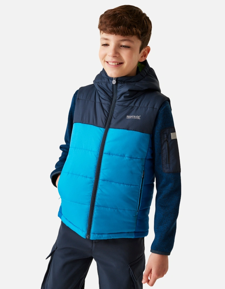 Childrens/Kids Lofthouse II Gilet