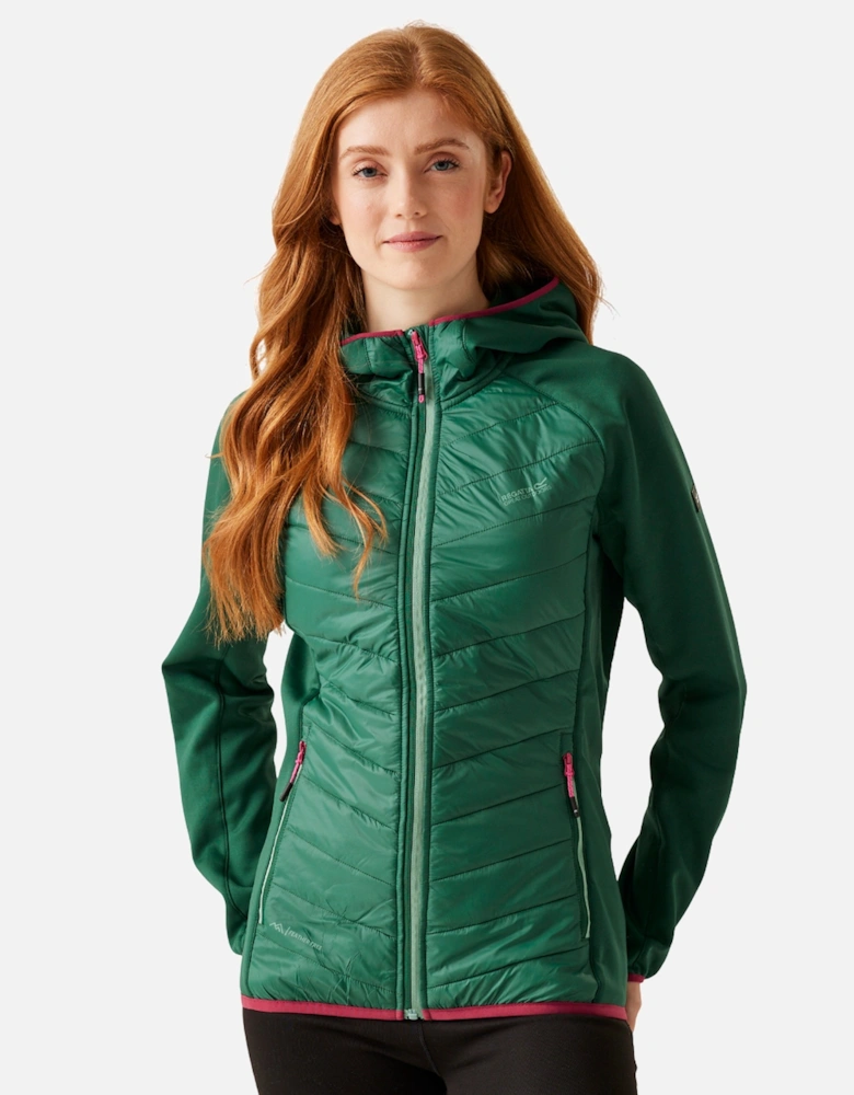 Womens/Ladies Andreson VIII Hybrid Jacket