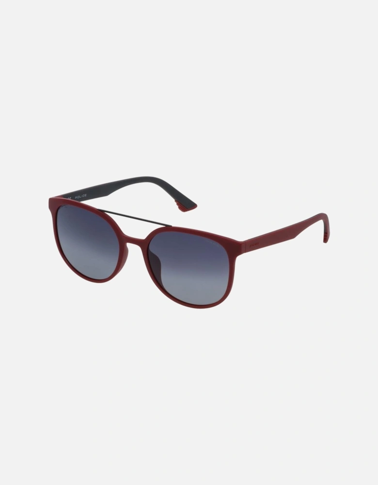 Acetate Bracelet Watch with Brown Dial Women Sunglasses