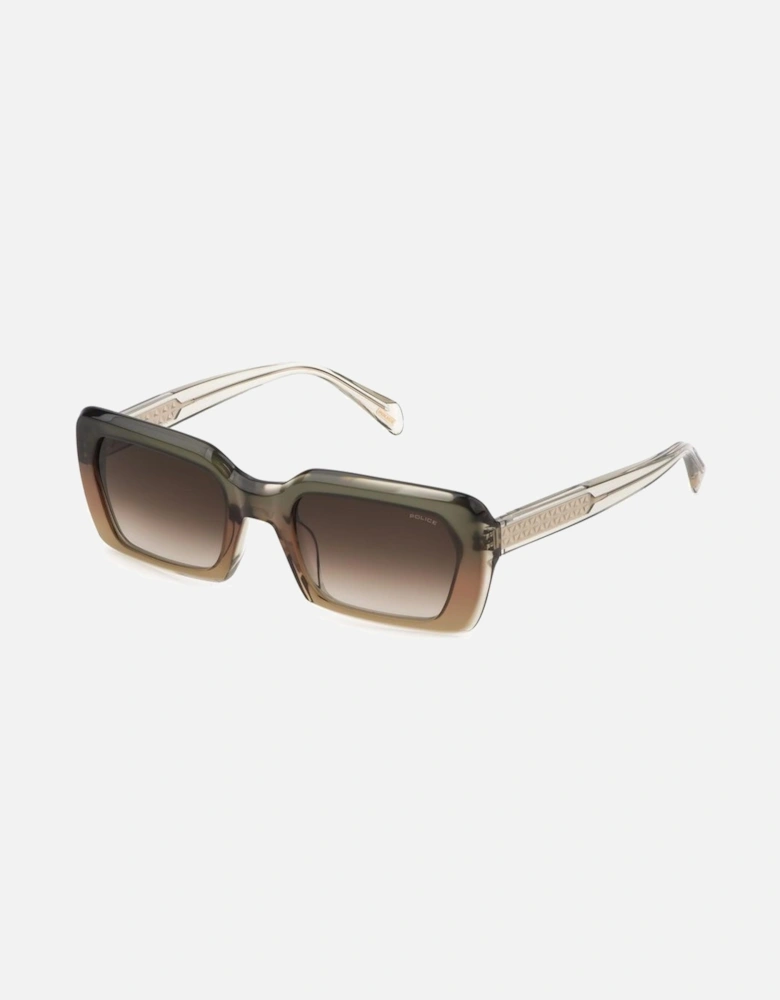 Acetate Bracelet Watch with Green Dial Women Sunglasses