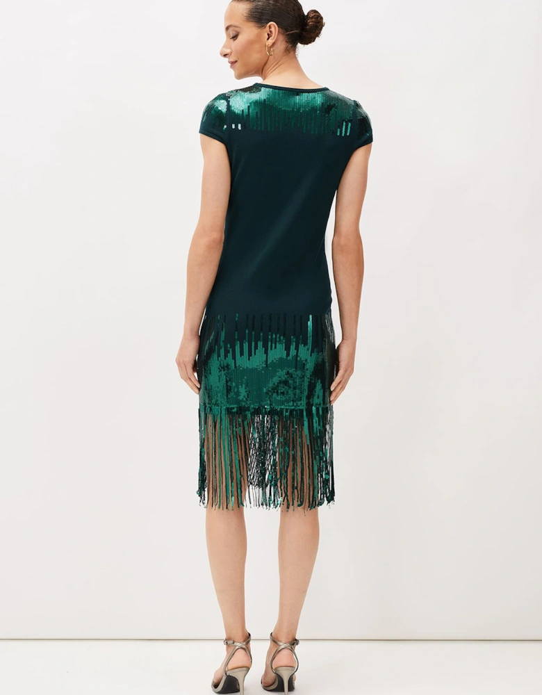 Ferne Sequin Fringe Knitted Dress