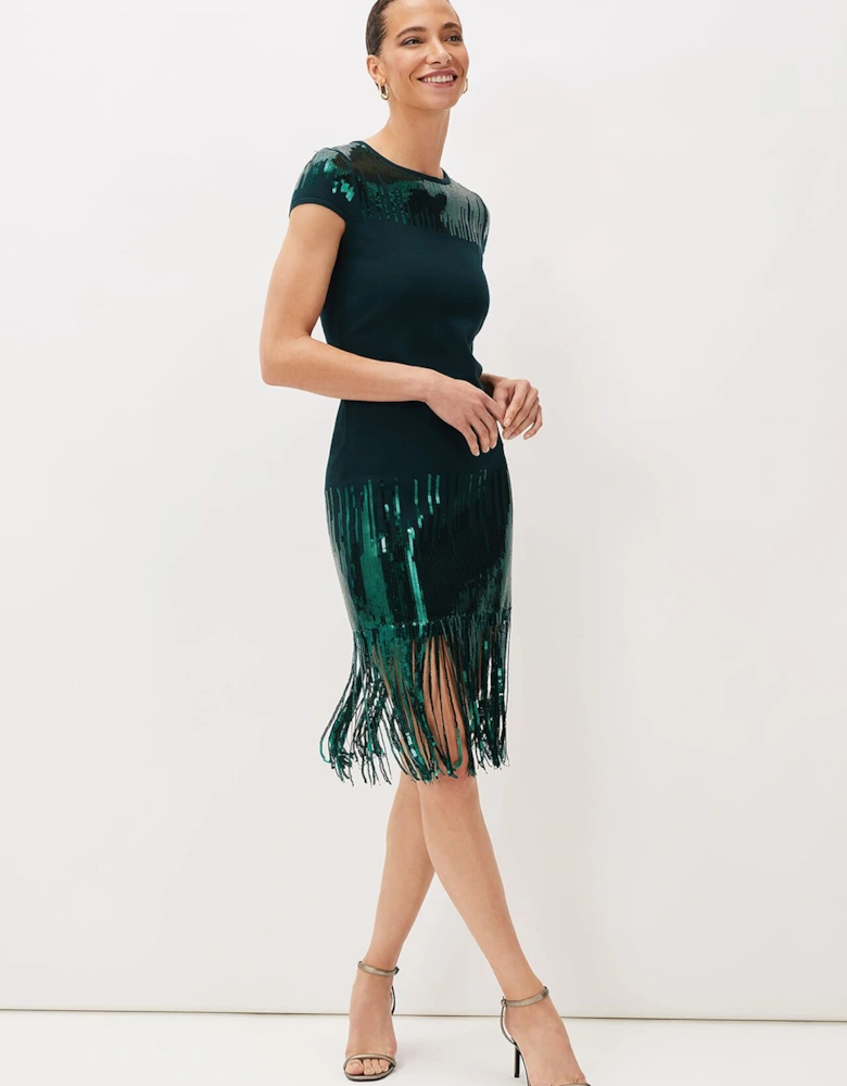Ferne Sequin Fringe Knitted Dress