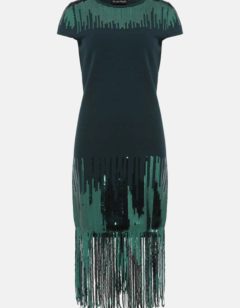 Ferne Sequin Fringe Knitted Dress