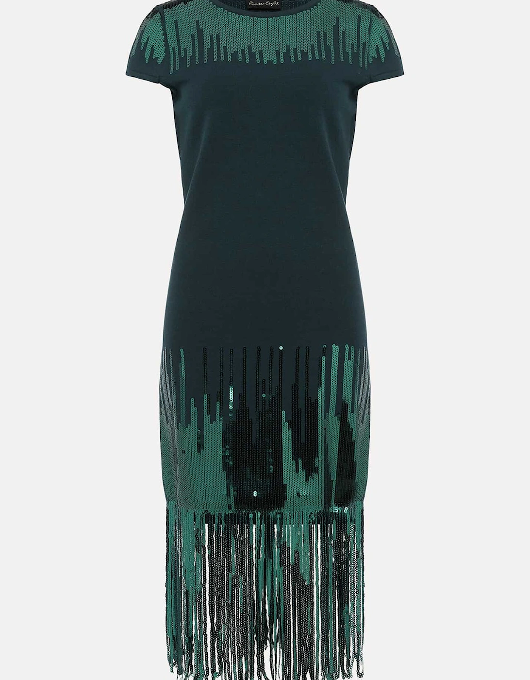 Ferne Sequin Fringe Knitted Dress