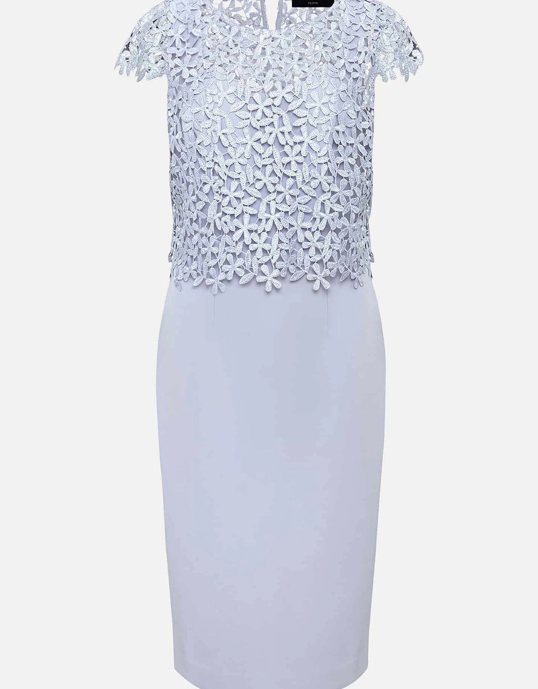Petite Daisy Lace Double Layer Dress