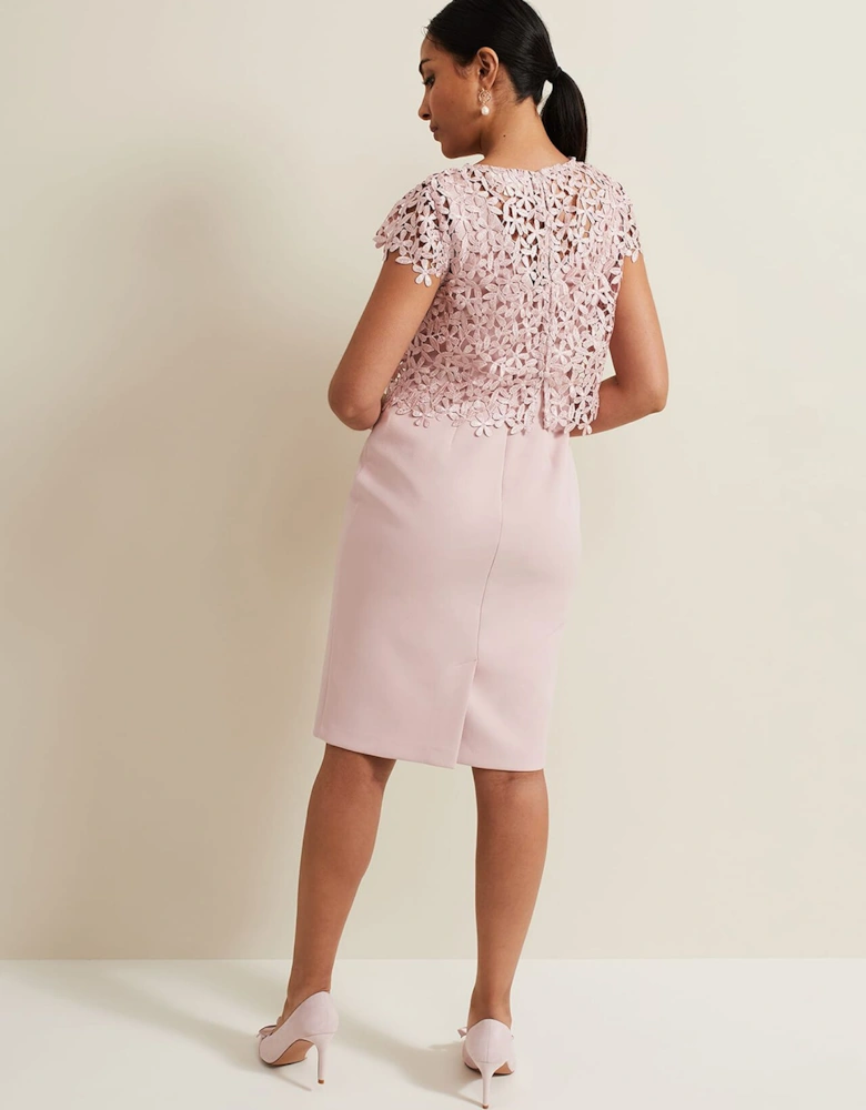 Petite Daisy Lace Midi Dress
