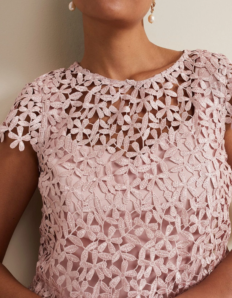 Petite Daisy Lace Midi Dress