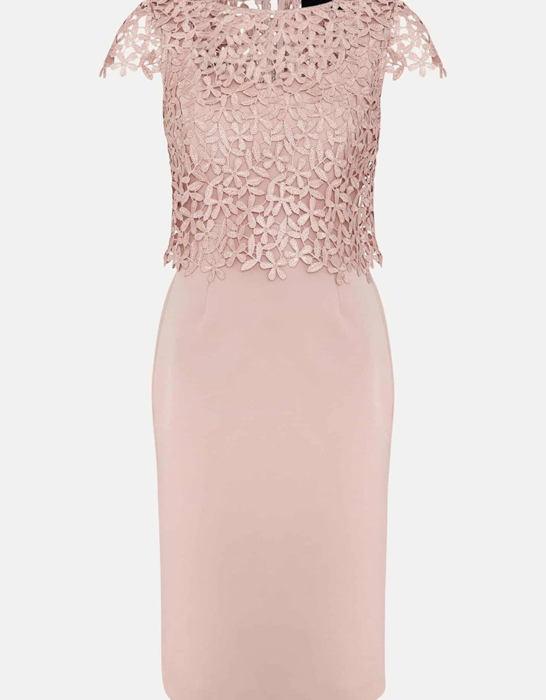 Petite Daisy Lace Midi Dress