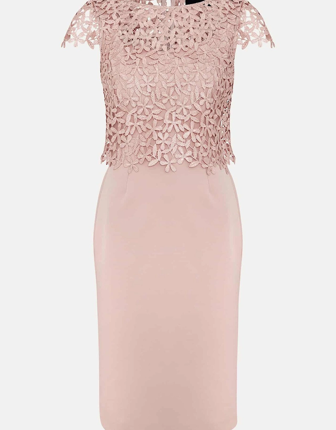 Petite Daisy Lace Midi Dress