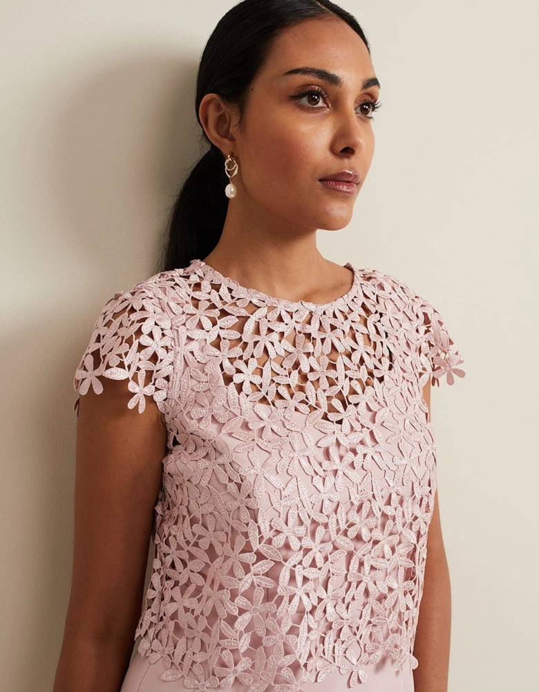 Petite Daisy Lace Midi Dress