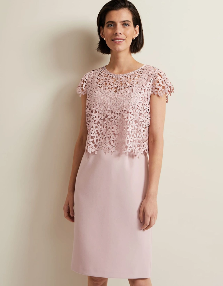 Daisy Lace Midi Dress