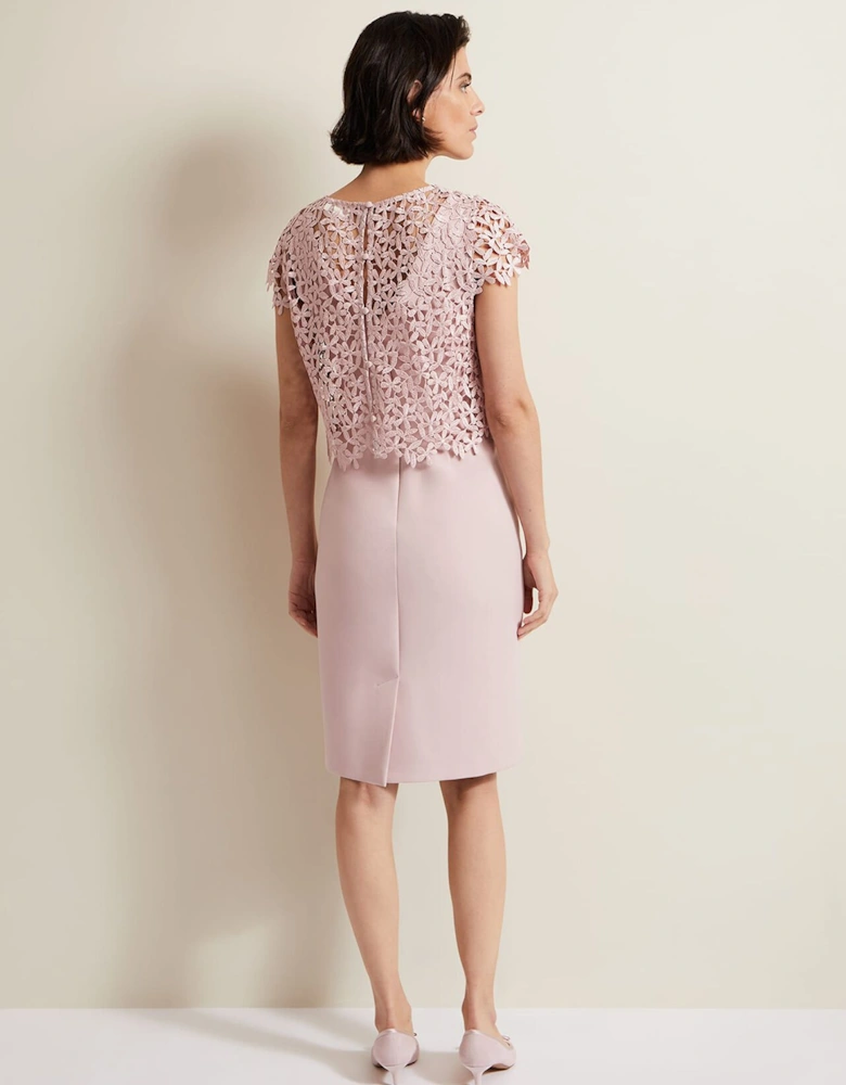 Daisy Lace Midi Dress