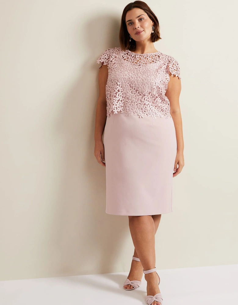 Daisy Lace Midi Dress