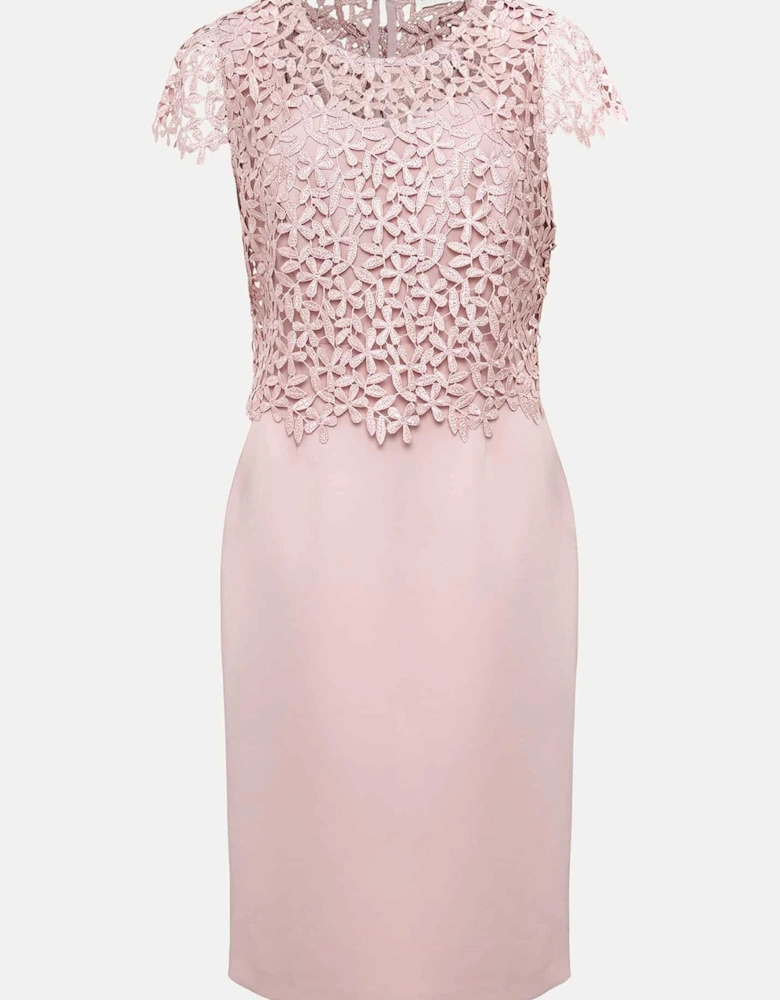 Daisy Lace Midi Dress