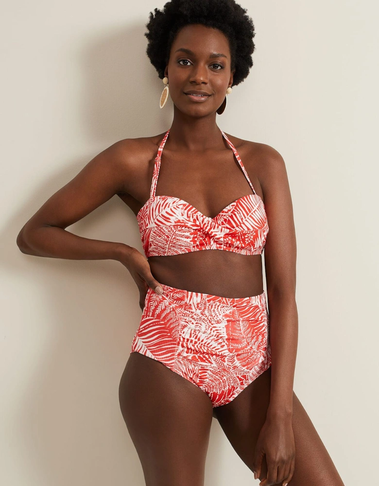 Fern Bikini Top
