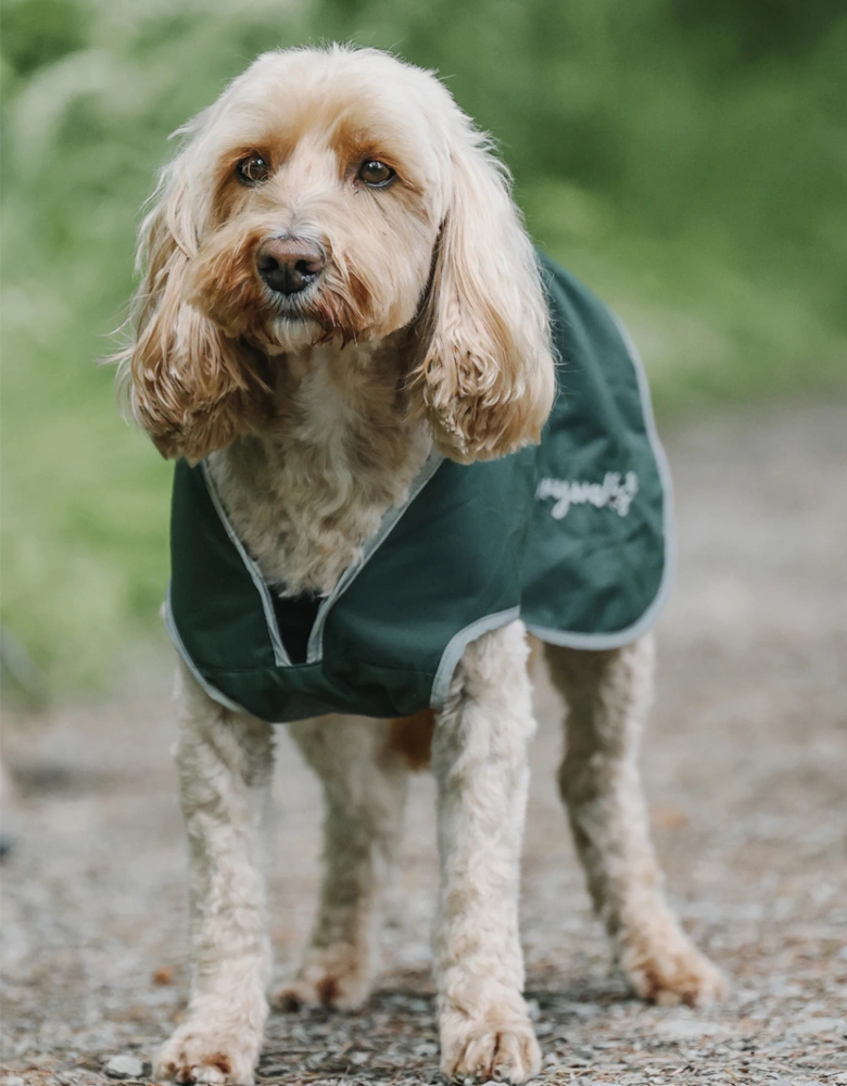 Drywalks Dog Coat Forest Green/Charcoal