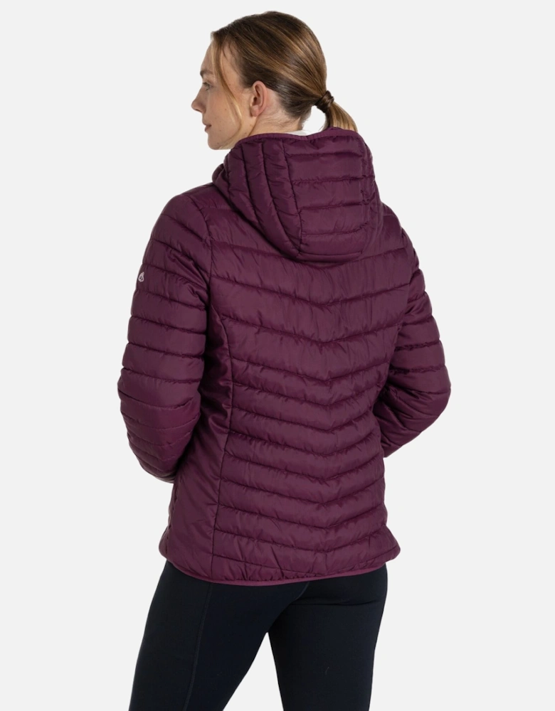 Womens/Ladies Compresslite VIII Hooded Padded Jacket