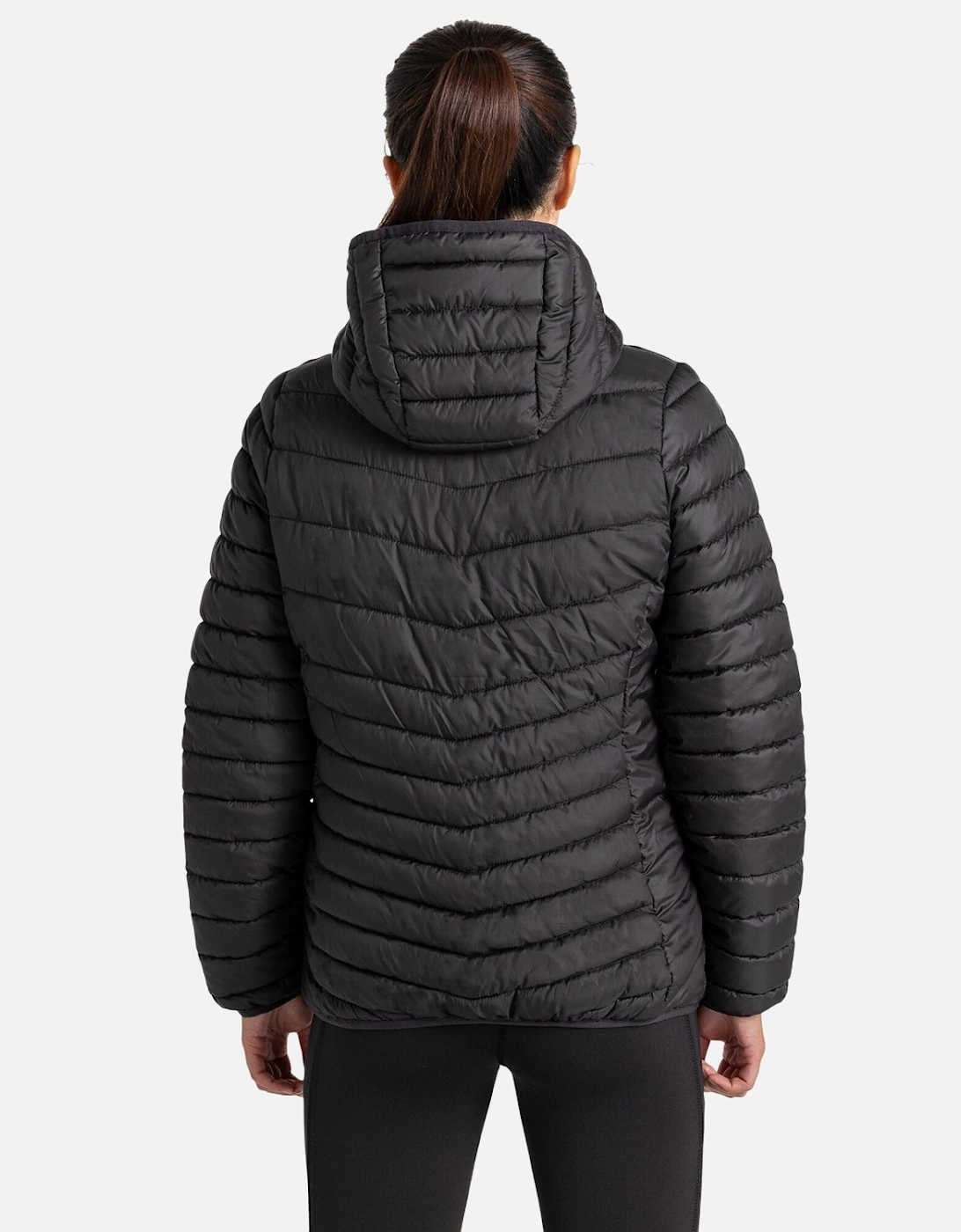 Womens/Ladies Compresslite VIII Hooded Padded Jacket