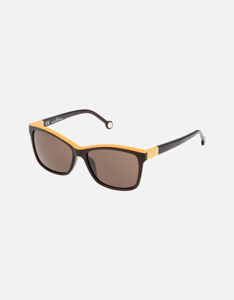 Acetate Bracelet Watch with Brown Dial Women Sunglasses