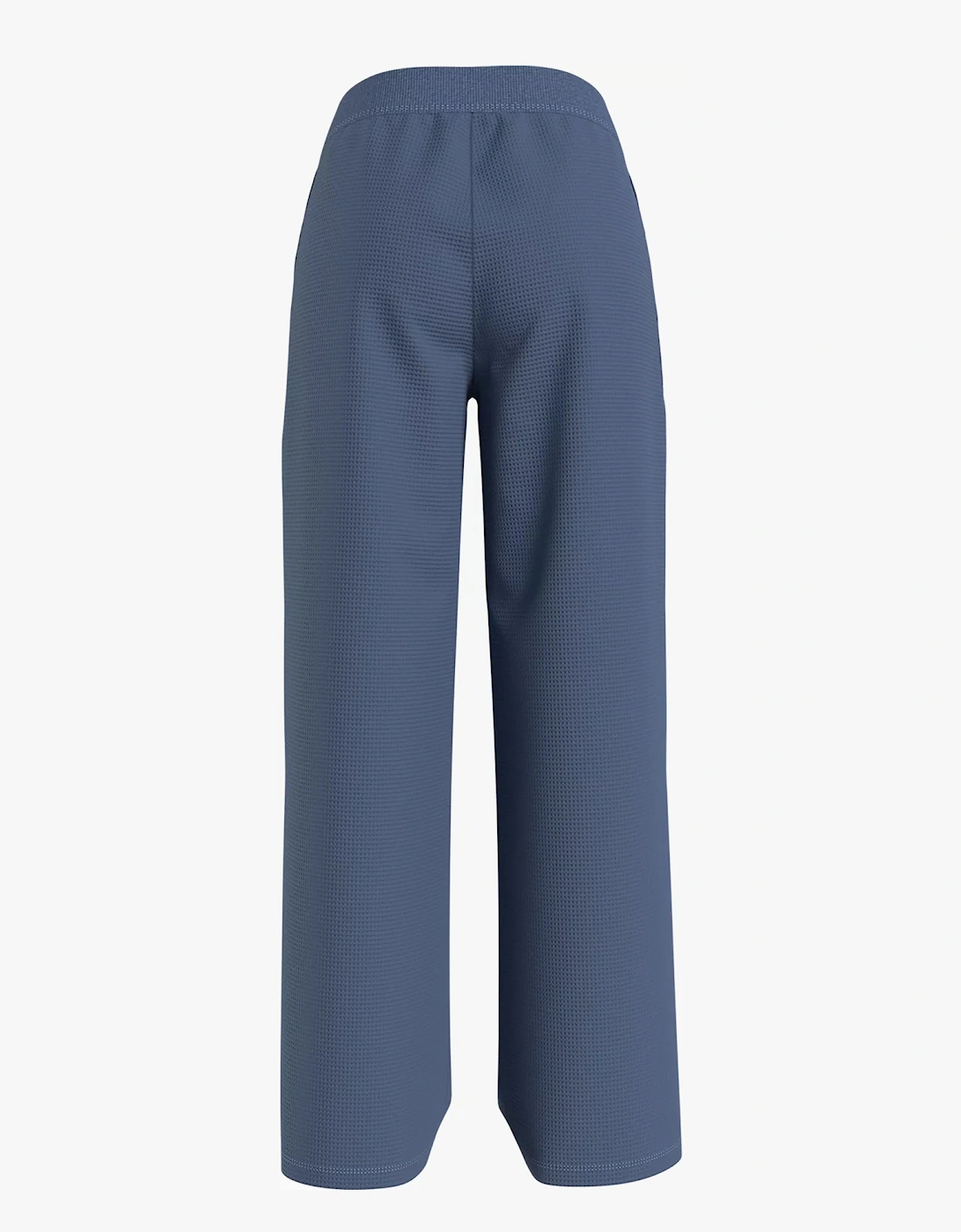 PANT Womens Pants Iron Blue