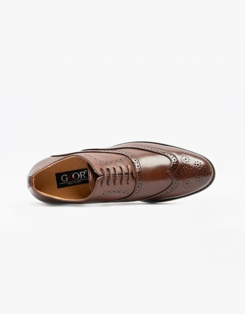 TOMMY Mens Oxford Brogues Brown