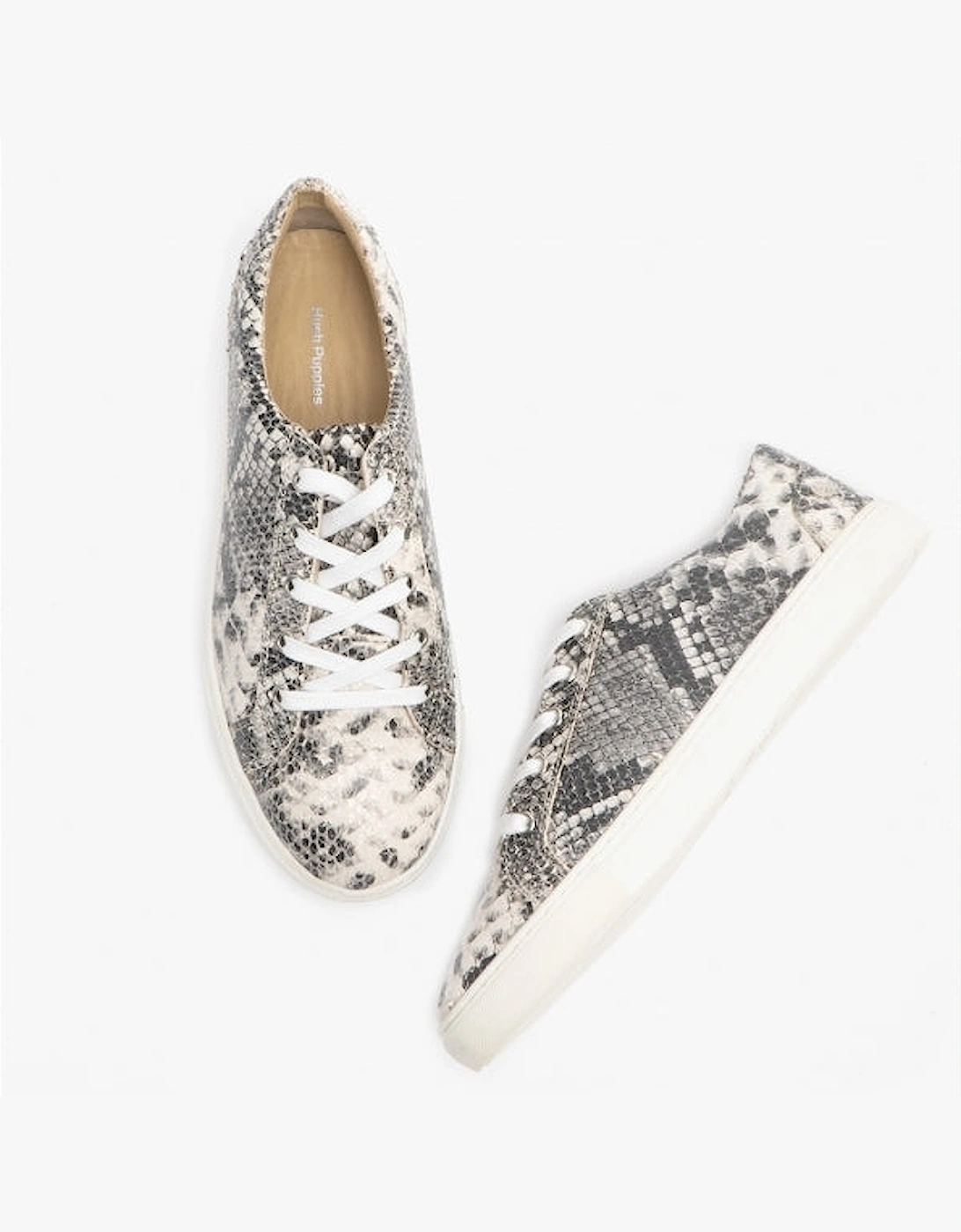 TESSA Womens Leather Casual Trainers Python