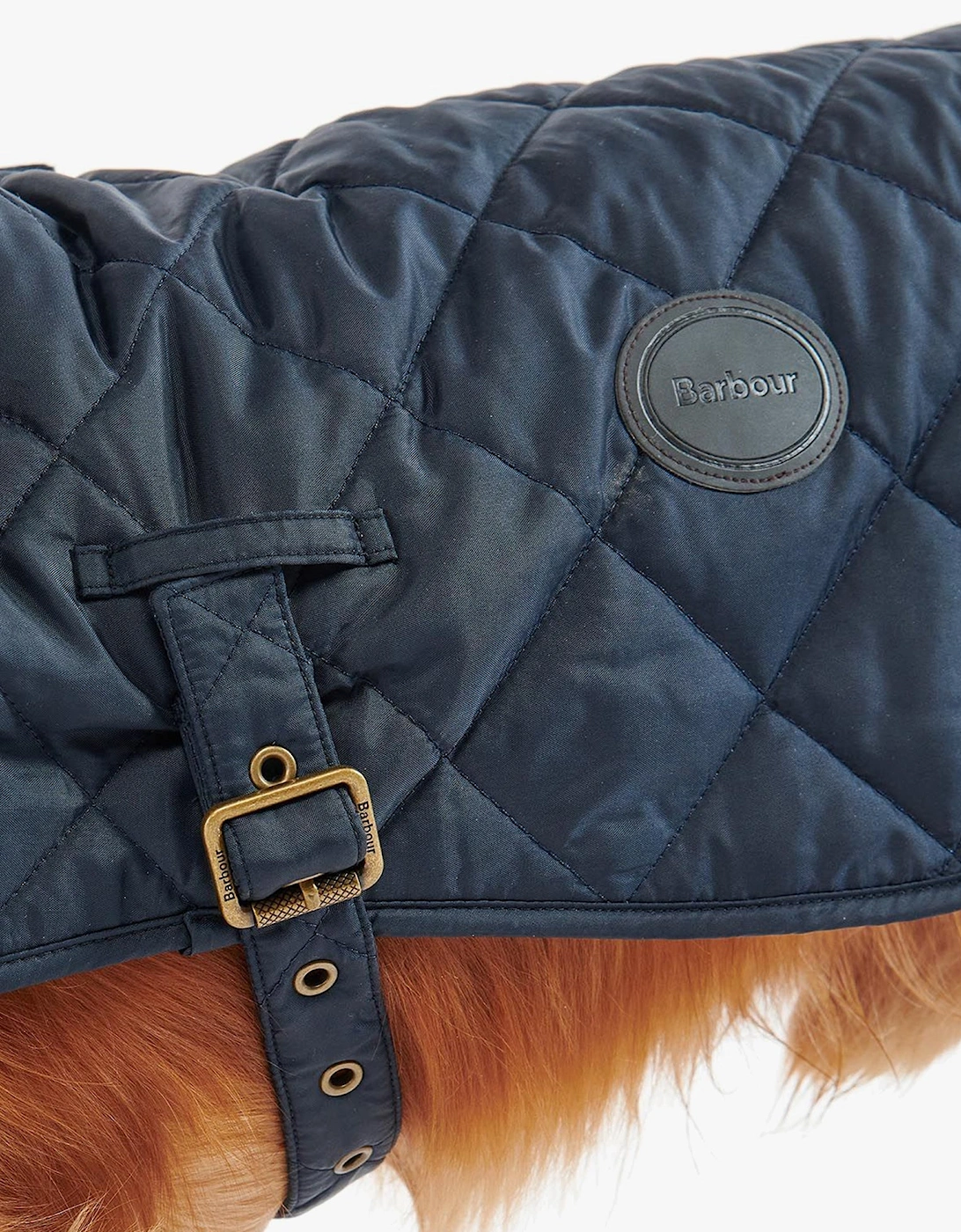 QUILTED DOG COAT Navy