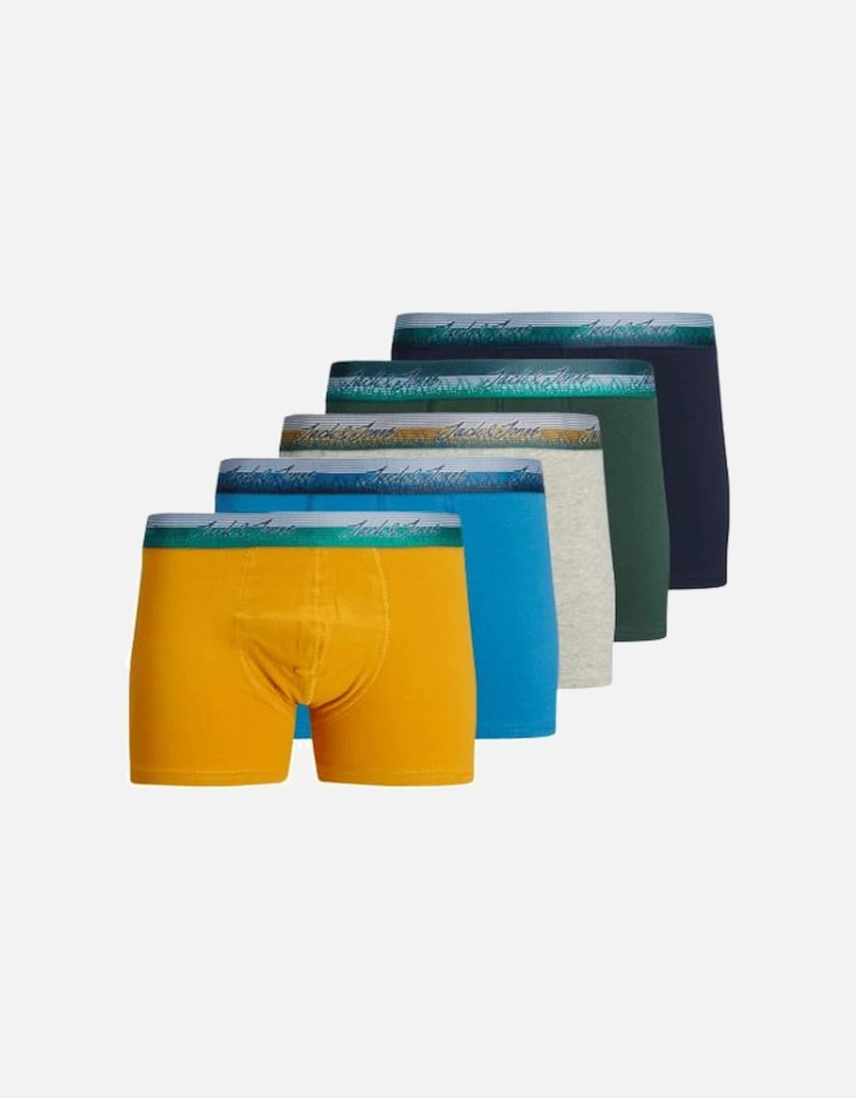 STRIPE 5 Pack Mens Fabric Trunks Multicoloured