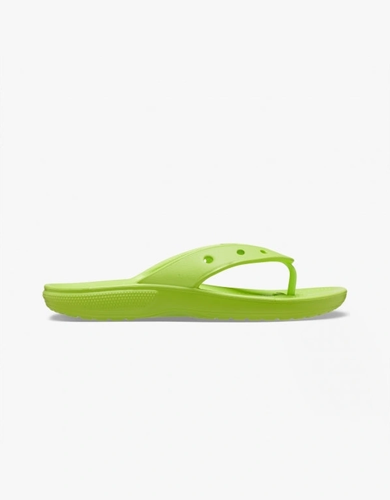 207713-3UH CLASSIC FLIP Unisex Sandals Limeade