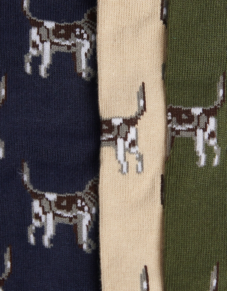 POINTER DOG SOCKS Mens Gift Box Forest Mist