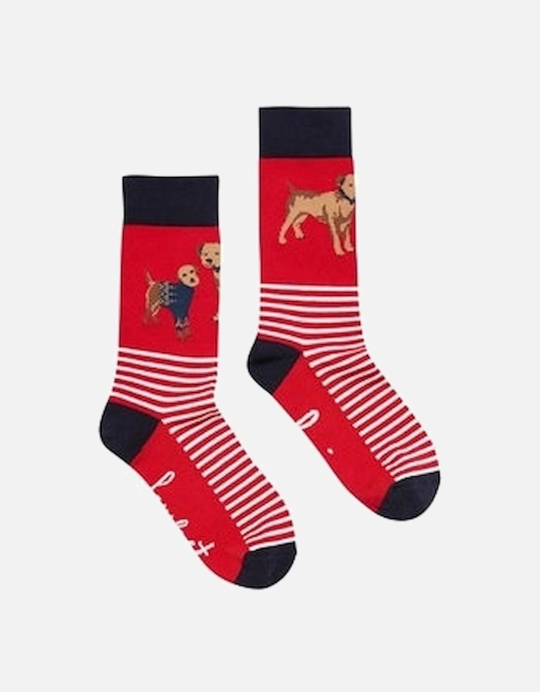 EXCELLENT EVERYDAY SINGLE Womens Socks Red Dog: UK 4-8