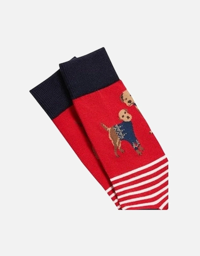 EXCELLENT EVERYDAY SINGLE Womens Socks Red Dog: UK 4-8