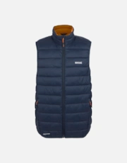 Navy/Fox