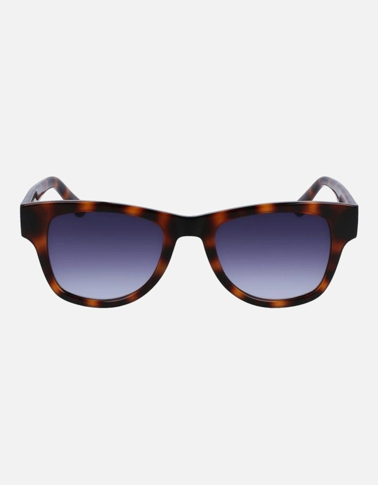 Injected Bracelet Watch with Brown Dial Unisex Sunglasses